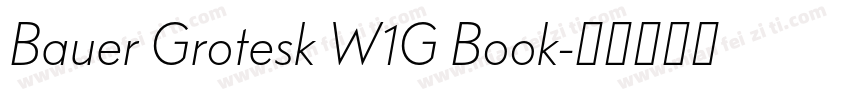 Bauer Grotesk W1G Book字体转换